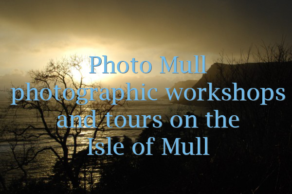 photo mull photographic workshops isle of mull
